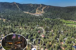 1193 S Sheephorn Rd, Fawnskin, CA 92314 - Photo 2