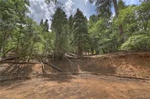 897 Ford Ln, Big Bear Lake, CA 92315 - Photo 20