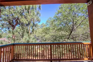 257 Imperial Ave, Sugarloaf, CA 92386 - Photo 22