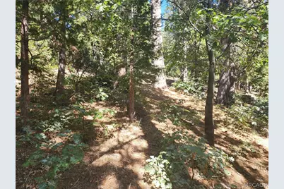 0 Grass Valley Road, Lake Arrowhead, CA 92352 - Photo 6