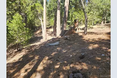 0 Grass Valley Road, Lake Arrowhead, CA 92352 - Photo 8