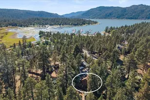 432 Chip-O-Wood Ln, Big Bear Lake, CA 92315 - Photo 2