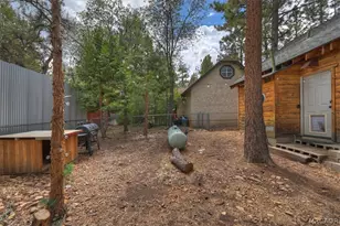313 Leonard Ln, Sugarloaf, CA 92386 - Photo 24