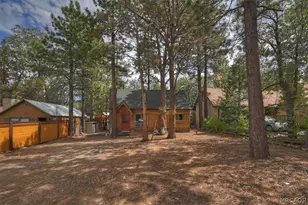 313 Leonard Ln, Sugarloaf, CA 92386 - Photo 28