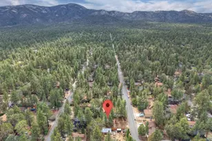 313 Leonard Ln, Sugarloaf, CA 92386 - Photo 30