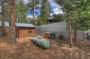 313 Leonard Ln, Sugarloaf, CA 92386 - Photo 22