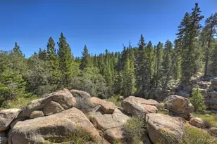 32311 Rim of the World Dr, Fawnskin, CA 92333 - Photo 54