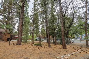 620 Pine Ln, Sugarloaf, CA 92386 - Photo 1