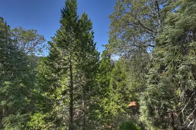 28974 Potomac Drive, Lake Arrowhead, CA 92352 - Photo 30