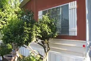 3883 Buchanan St, Riverside, CA 92503 - Photo 2