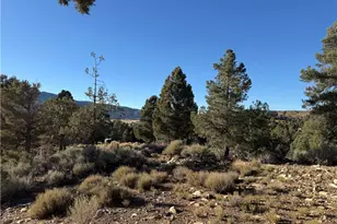 46280 Boron Ln, Big Bear City, CA 92314 - Photo 1