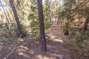 43320 Sand Canyon Rd, Big Bear Lake, CA 92315 - Photo 50