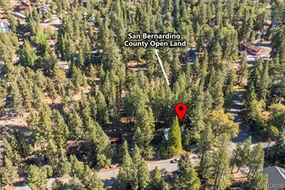 43320 Sand Canyon Road, Big Bear Lake, CA 92315 - Photo 6