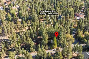 43320 Sand Canyon Rd, Big Bear Lake, CA 92315 - Photo 6