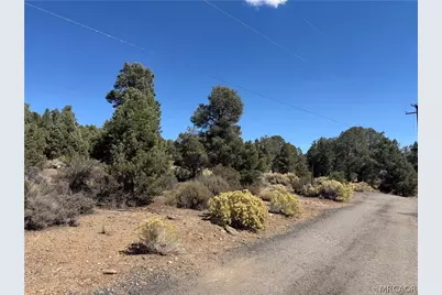 0 Falling Springs Road Road, Big Bear City, CA 92314 - Photo 4