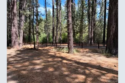 42280 Moonridge Road, Big Bear Lake, CA 92315 - Photo 10