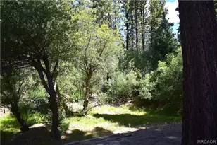 33758 Meadow Ln, Green Valley Lake, CA 92341 - Photo 28