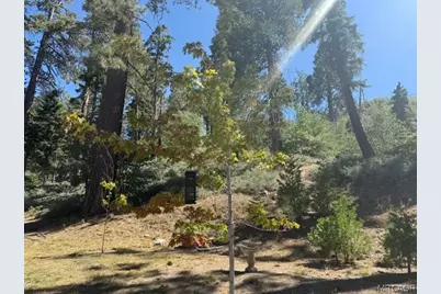 647 Lone Pine Lane, Green Valley Lake, CA 92341 - Photo 30