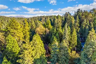 641 Buckingham Square, Lake Arrowhead, CA 92385 - Photo 40