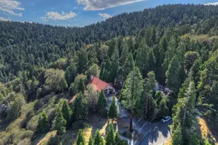 729 Minty Pne Dr, Cedarpines Park, CA 92322 - Photo 54