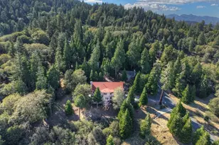 729 Minty Pne Dr, Cedarpines Park, CA 92322 - Photo 56