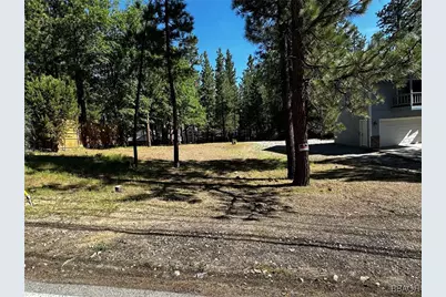 0 Fox Farm Rd, Big Bear City, CA 92314 - Photo 1