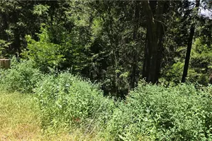 00987 Cedar Pines Dr, Cedarpines Park, CA 92322 - Photo 1