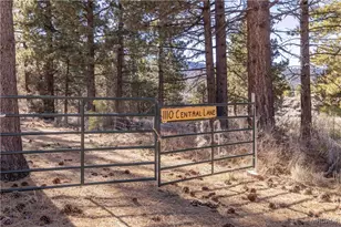 1110 Central Ln, Big Bear City, CA 92314 - Photo 1