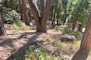 357 Castle Gate Rd, Lake Arrowhead, CA 92352 - Photo 1