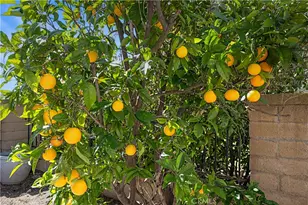 28782 Bolanos, Mission Viejo, CA 92692 - Photo 30