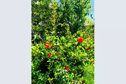 18893 Santa Isadora Street, Fountain Valley, CA 92708 - Photo 44