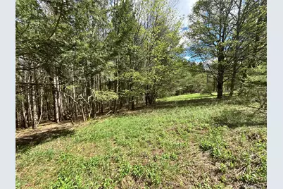 Lot 16 Putnam Road, Other, NY 13750 - Photo 6