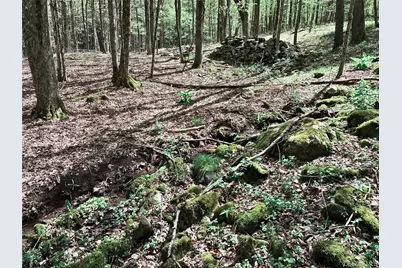 Lot 16 Putnam Road, Other, NY 13750 - Photo 12