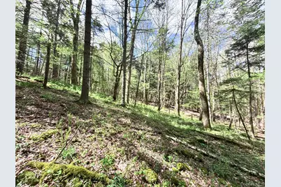 Lot 16 Putnam Road, Other, NY 13750 - Photo 18