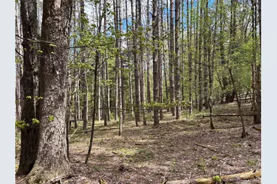 Lot 16 Putnam Road, Other, NY 13750 - Photo 8