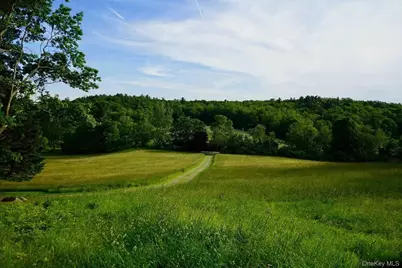 762 Tower Hill Road, Millbrook, NY 12545 - Photo 2