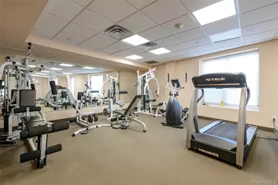 242 Maple Avenue #419, Westbury, NY 11590 - Photo 22