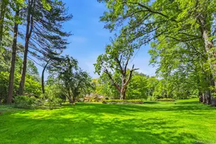 17 Hastings Rd, Old Westbury, NY 11568 - Photo 30