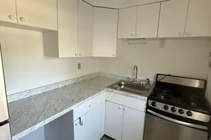 18 S Henry St, Pearl River, NY 10965 - Photo 8