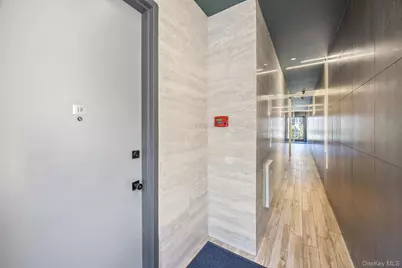 305 Sumpter Street, Brooklyn, NY 11233 - Photo 38