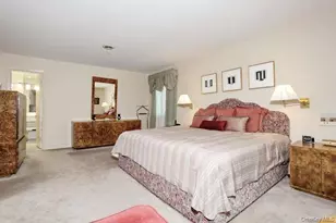 46 E Concord Dr, Monsey, NY 10952 - Photo 28