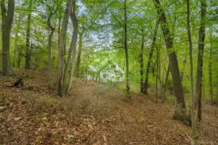 230 Sweet Hollow Rd, Huntington, NY 11743 - Photo 4