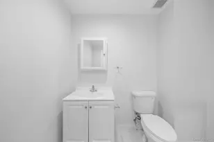 132 Swezey Dr, Middle Island, NY 11953 - Photo 40
