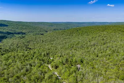 114 Turkey Hollow Lane, Livingston Manor, NY 12758 - Photo 42