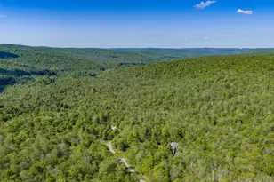 114 Turkey Hollow Ln, Livingston Manor, NY 12758 - Photo 42