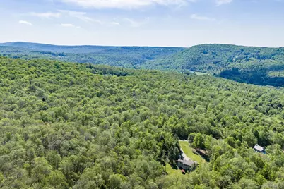 114 Turkey Hollow Lane, Livingston Manor, NY 12758 - Photo 44