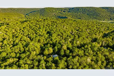 34 Turkey Hollow Lane, Livingston Manor, NY 12758 - Photo 48