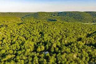 34 Turkey Hollow Ln, Livingston Manor, NY 12758 - Photo 48