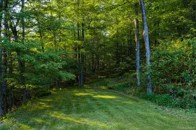 34 Turkey Hollow Lane, Livingston Manor, NY 12758 - Photo 42