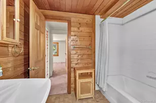 75 Stafford Rd, Swan Lake, NY 12783 - Photo 28